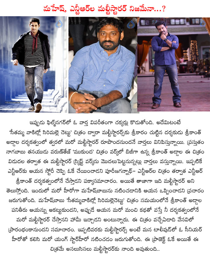 jr ntr,mahesh babu,combo movie,jr ntr and mahesh babu combo,srikanth addala,srikanth addala directs jr ntr and mahesh babu,srikanth addala another multi starer movie,sensational news on jr ntr and mahesh babu  jr ntr, mahesh babu, combo movie, jr ntr and mahesh babu combo, srikanth addala, srikanth addala directs jr ntr and mahesh babu, srikanth addala another multi starer movie, sensational news on jr ntr and mahesh babu